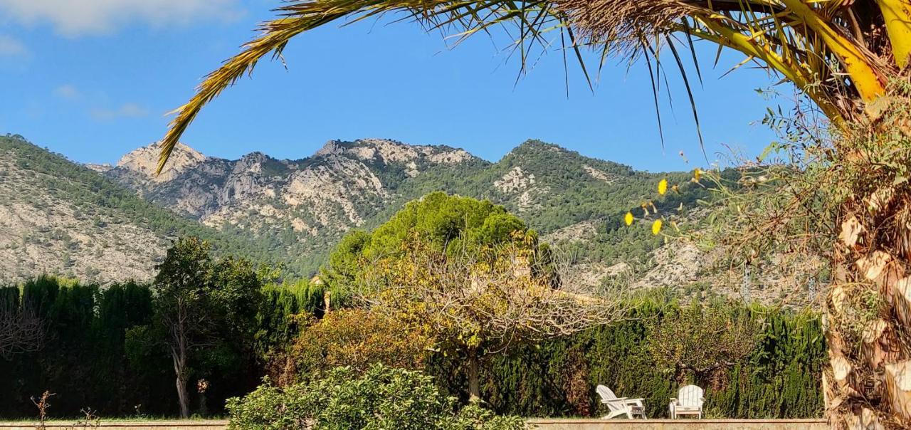 Casa De Los Lirios มูโรเดอัลกอย ภายนอก รูปภาพ